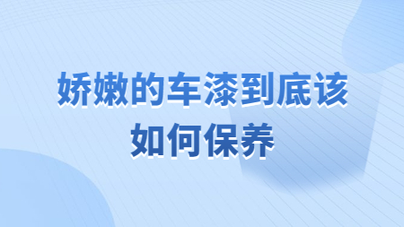 嬌嫩的車漆到底該如何保養！